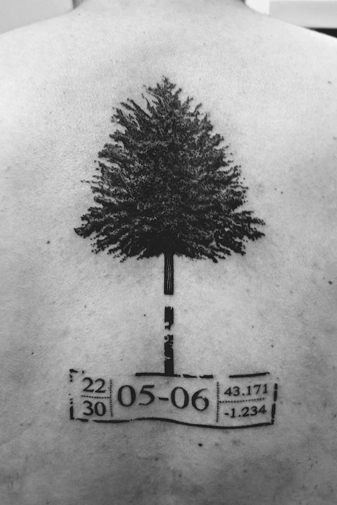 Tatouage Gravure Dos Arbre Coordonnees – Le Nouveau Labo Bordeaux
