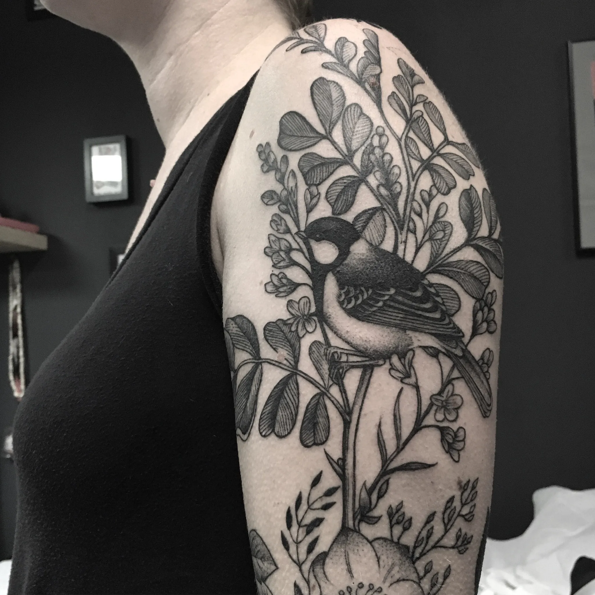 Tatouage Gravure Epaule Oiseau Botanique – Le Nouveau Labo Bordeaux