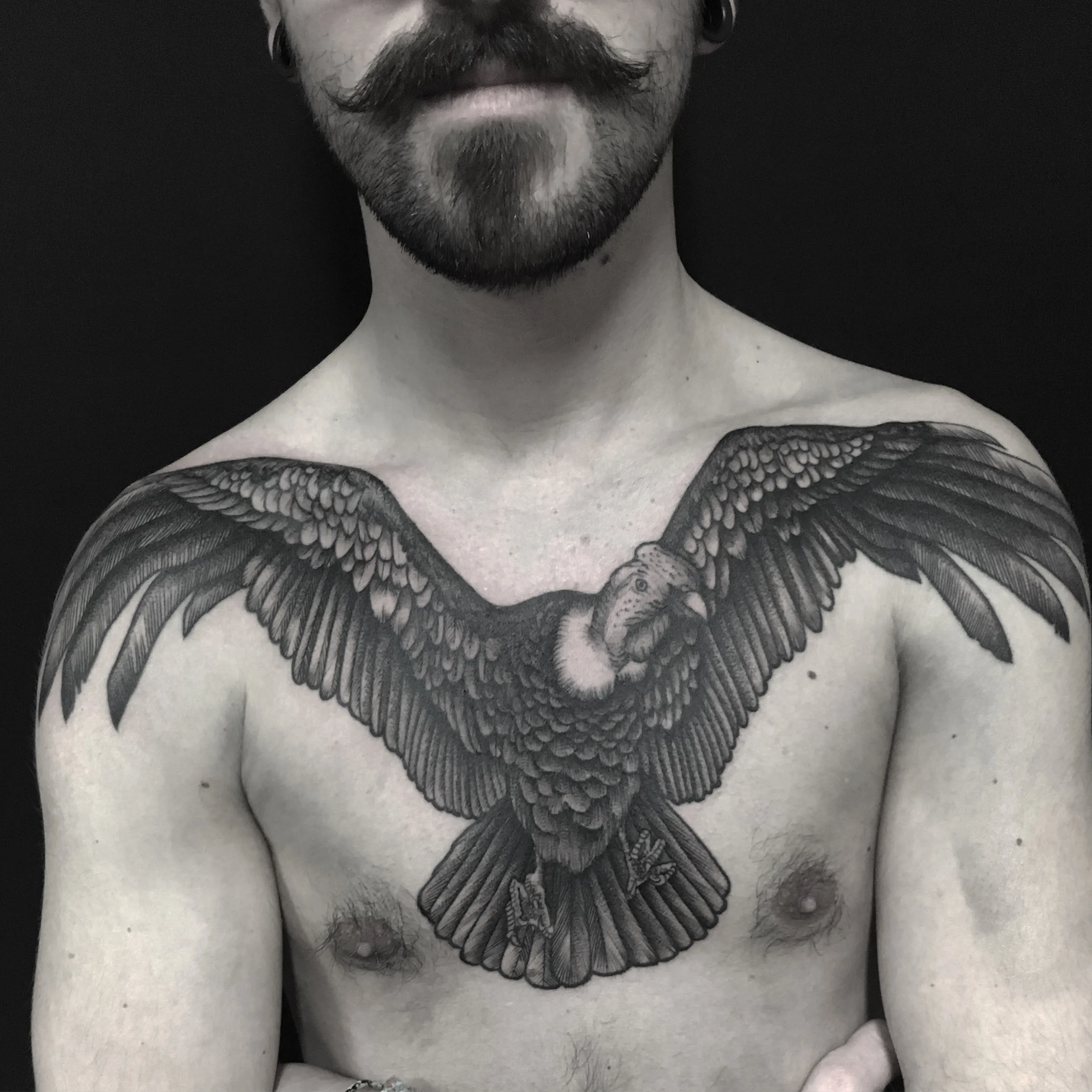 Tatouage Gravure Poitrine Corbeau Aigle – Le Nouveau Labo Bordeaux